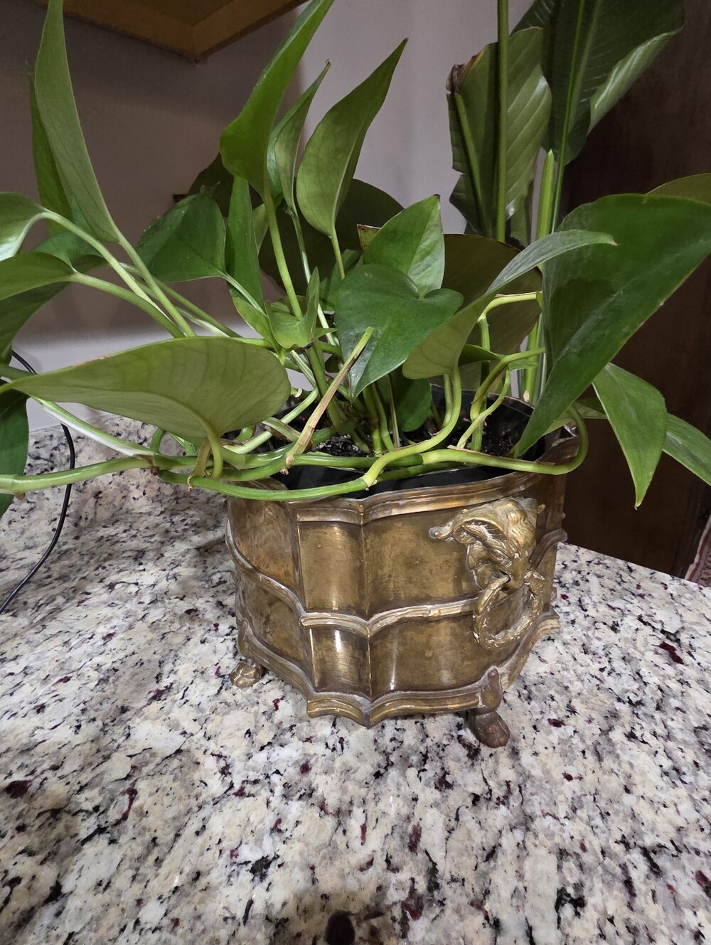 Vintage Mottahedeh Design Brass Plant Holder w/ Ram Head Handles